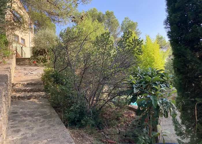 Le Gite Sous Les Pins