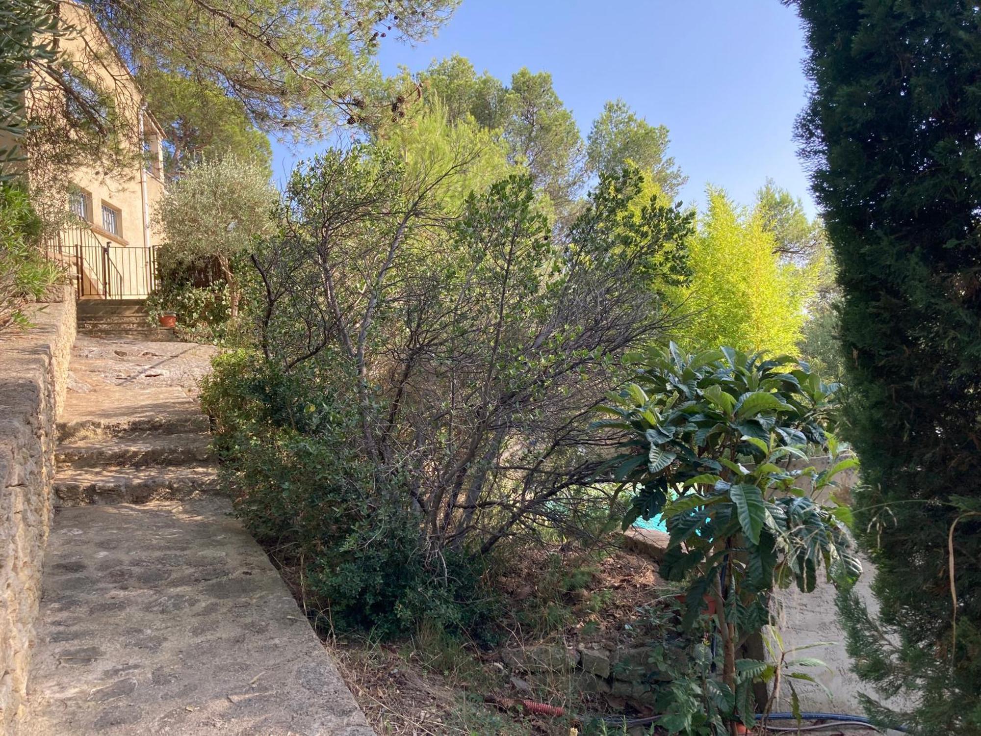 Le Sous Les Pins Apartment
